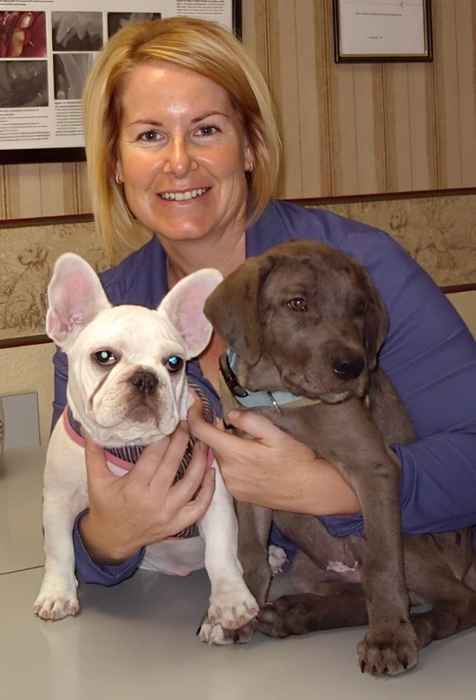 A woman holding two dogs in her arms